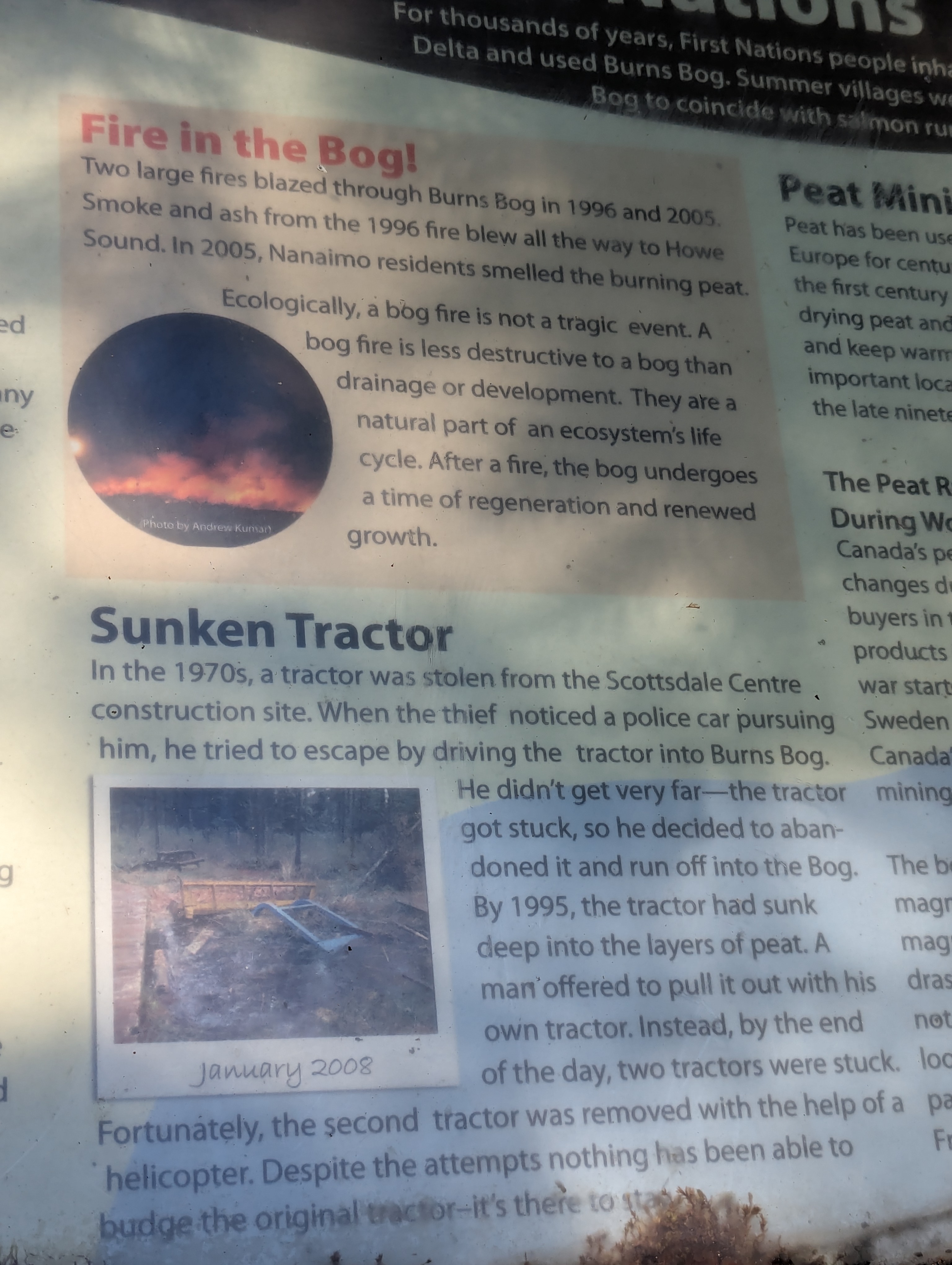 Birthday Trip to Canada, Delta, Burns Bog, Vancouver, British Columbia